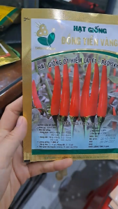 Hạt Giống Ớt Hiểm Lai F1-Red Sky 88 ĐỒNG TIỀN VÀNG (Gói 5gr)