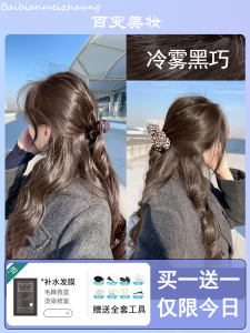 Natural Cold Mist Brown Hair Dyeing Paste Home Use No Bleaching Gentle on Hair Womens Hair Coloring Agent Plant Based