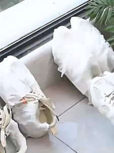 [10 PCS] Kantong Tas Serut Sepatu | Dustbag Cover Tas Sepatu |Penyimpanan Sepatu Sarung Tas Pelindung Debu | Tas Sepatu Spunbond