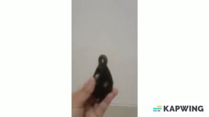 KATROL MINI KEREKAN BENDERA KEREKAN SANGKAR BURUNG KEREKAN KANDANG HIGH QUALITY