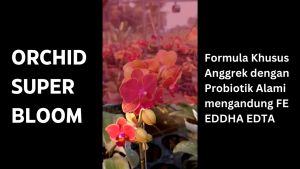 Pupuk anggrek Orchid Super Bloom 250ml Nutrisi Anggrek dengan Probiotik Alami