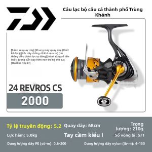 Daiwa | Cuộn Cước Quay Dài Dành Cho Người Mới Bắt Đầu
