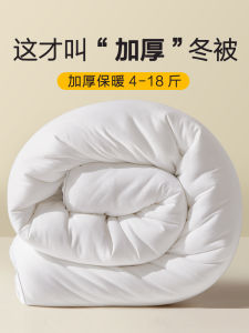 Thick Winter Quilt 10 Pounds Silk Cotton Quilt for Autumn And Winter Student Dormitory Single Bed Warm Quilt Polyester Fabric