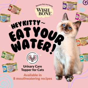 [Bundle of 4] Wishbone Variety Pack Cat Urinary Care Topper 85g Cans