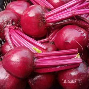 Buah Bit Fresh Kualitas Super 1Kg