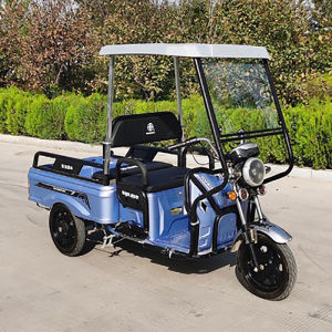 Pengshi Jia Electric Tricycle Carport Rain Sunshade Full Wrap Battery Car Tent Iron Frame Outdoor Camping Travel Gear