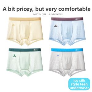 Cool Ice Silk Underwear for Teenagers