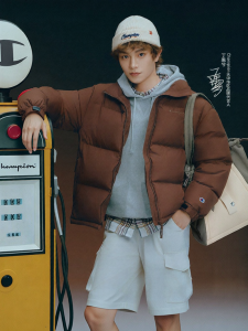 Champion | 3-Proof Down Hoodie Jacket