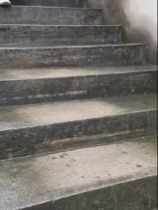 High-Quality Stainless Steel Wire Brush: A Must-Have for Deep Cleaning