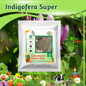 Benih Indigofera Pakan Ternak (1000biji)