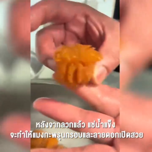 แมงกะพรุนหัวกระสุน แบบเค็ม 1kg ตัวใหญ่