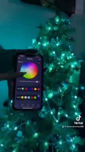 Dây Đèn LED RGB 10M 100 Bóng Chống Nước - Điều Khiển Từ Xa 24 Phím - 16 Triệu Màu - Trang Trí Phòng Noel Tiệc