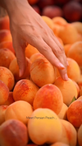 Careso Persian Peach Series Body Lotion Eau De Oud Parfum Badan EDP Long Lasting Parfume