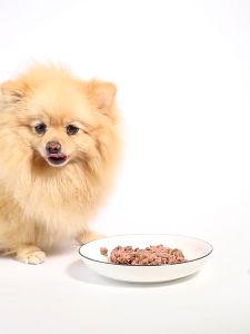 Masti 380g Juicy Dog Canned Food Chicken Beef Flavour Dog Wet Canned Food Pets Dog Food Makanan Anjing Dog Can Food