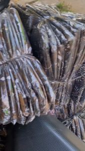 Kemeja Batik Pria Terbaru 2024 Size M L XL XXL Baju Batik Pria Lengan Panjang Kemeja Batik Modern