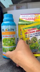 PLACTY 500ML NẶNG 800GR GEL ĐẬM ĐẶC PHÂN BÓN MUA 1 CHAI TẶNG 1 GÓI DƯỠNG SIÊU ĐÂM CHỒI 50GR