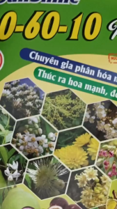 Phân bón Siêu Lân NP10-60 chuyên gia tạo mầm kích nụ mai vàng gói 250gr
