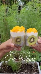 The Green Tummy Organic Chia Seeds Vegan Superfood Keto Friendly