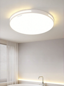 Changhong | Moisture-Resistant Modern and Simple Ceiling Light