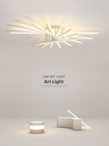 Modern Stylish Ceiling Light