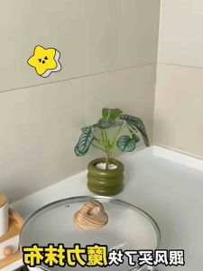 Magic Cleaning Cloth Microfiber Cleaning Rag for Windows & Glass