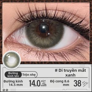 Kilala | Kính áp tròng màu dùng nửa năm 2 chiếc