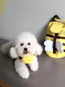 HamshMoc Dog Life Jacket Bee Design Safety Buoyant Vest With Handle For Water Fun