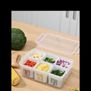 Kitchen Scallion Storage Box 6 In 1 Drain Box Scallion Ginger Garlic Food Fresh-Keeping Box  Fridge Organizer
