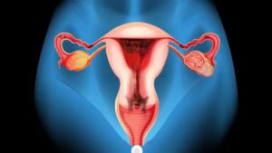 [Detox Pearl + Yoni Oil + Feminine Wash] Balance Hormones / Reduce Menstrual Discomfort / Regulate Menstrual Cycle / Treat Yeast Infection / Eliminates Bad Odor / Regulates pH / Womb Wellness Pearl Tampon / Anti-bacterial and Anti-Fungal / Soothes Itching