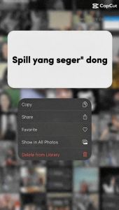 Serutan Es Batu Manual Kayu