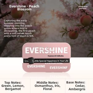 EVERSHINE | Long-lasting Deodorizing Car Air Freshener