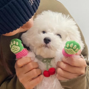 Dog Socks Anti-Scratch Anti-Dirty Anti-Slip Temple Tip Teddy Bichon Yorkshire Cat Shoes Pet Socks Dog Shoes