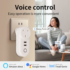 SWE Tuya Smart plug UK 2USB Socket utilizes Wi-Fi wireless 13ARemote Control Timer for Alexa Google Home Assistant