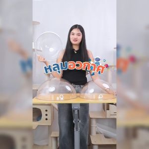 Petus หลุม หลุมนอนอวกาศแมว หลุมอะคริลิค อุปกรณ์เสริมสำหรับคอนโดแมว หลุมนอน DIY หลุมนอนแมว ที่นอนแมว