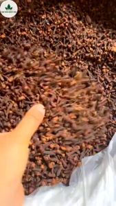 [BUY 50G GET 50G] Original Whole Dried Cloves - Whole Dried Cloves - Strong Aroma Natural and Fragrant