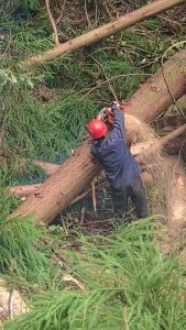 ✅Original + 24 hours delivery✅New Chainsaw Chain Sliver Chains And Upgrade Guide plate Power Tool Accessories For 4"/6"/12"/16"/20"  Chainsaw