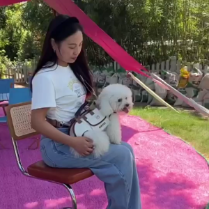 [SG In Stock]Portable Pet Carrier Backpack for Small Dogs Cats Breathable Dog Sling Carrier Pet Travel Bag