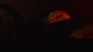 Fantech | FANTECH KANATA S VX9S Wired Mouse 7200DPI 6D Button Macro Mice and ARBG Ergonomic Mice Huano Switch Gaming Mouse for PC Gamer