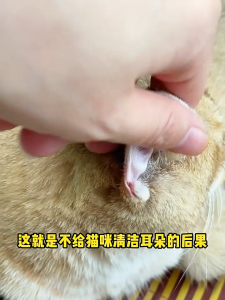 [MALAYSIA STOCK] Dorrikey Pet Ear Drop For Cat Dog Ear Mite Cleaner Ubat Telinga Kucing