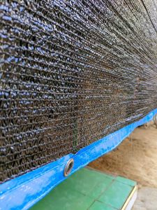 PARANET 90% UK 1X10 DAN 1X15 PARANET TANAMAN DAN HALAMAM