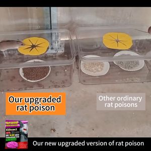 Powerful Rat Trap & Harmless Rat Poison: Effective Home Rat Control