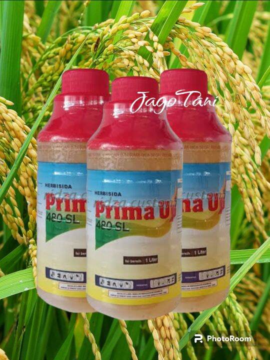 Herbisida Prima Up 1 Liter Pembasmi Rumput Dan Gulma Paling Ampuh