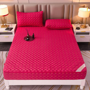 Six-Sided Full Enclosure Zipper Mattress Protector with Cotton Padding
