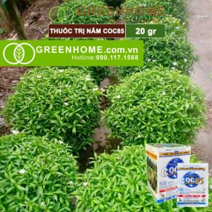 Thuốc Trị Nấm Cây Trồng Greenhome Coc85 Wp Gói 20gr Trừ Đốm Lá Cho Hoa Hồng Nấm Trên Kiểng Lá Cây Cảnh Cây Ăn Quả