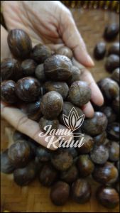 Biji Pala 250gr / Buah Pala Grade A