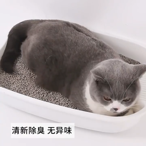 1 KG-PASIR KUCING GUMPAL WANGI-KEMASAN REPACK