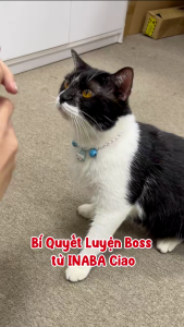 [NHẬP KHẨU THÁI - MUA 10 TẶNG 1 PATE] INABA CIAO CHURU Súp Thưởng Cho Mèo Vị Cá Ngừ/Gà Với Dầu Cá🐟 Hấp Dẫn Vô Cùng Tận