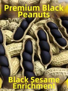 Selenium Rich Large Whole Shell Sweet Black Peanuts 500g