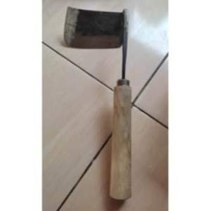 tengkuit/koret rumput