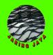 Jaring Jaya